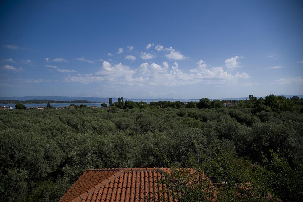 Olivegrove House Apartman Vurvurú Kültér fotó